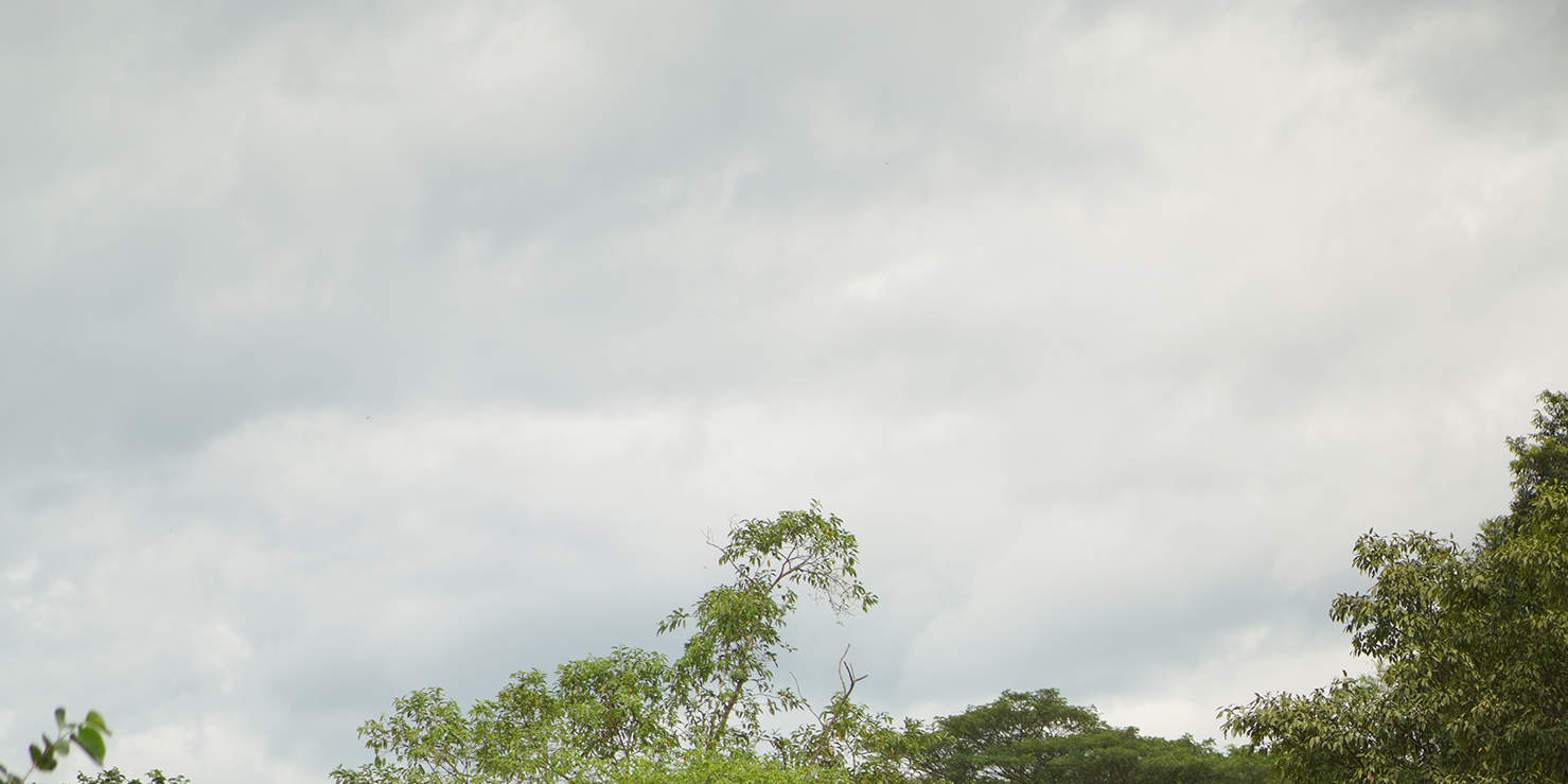 乘坐竹筏45分鐘，在當地生活中享受觀光帶來的放鬆