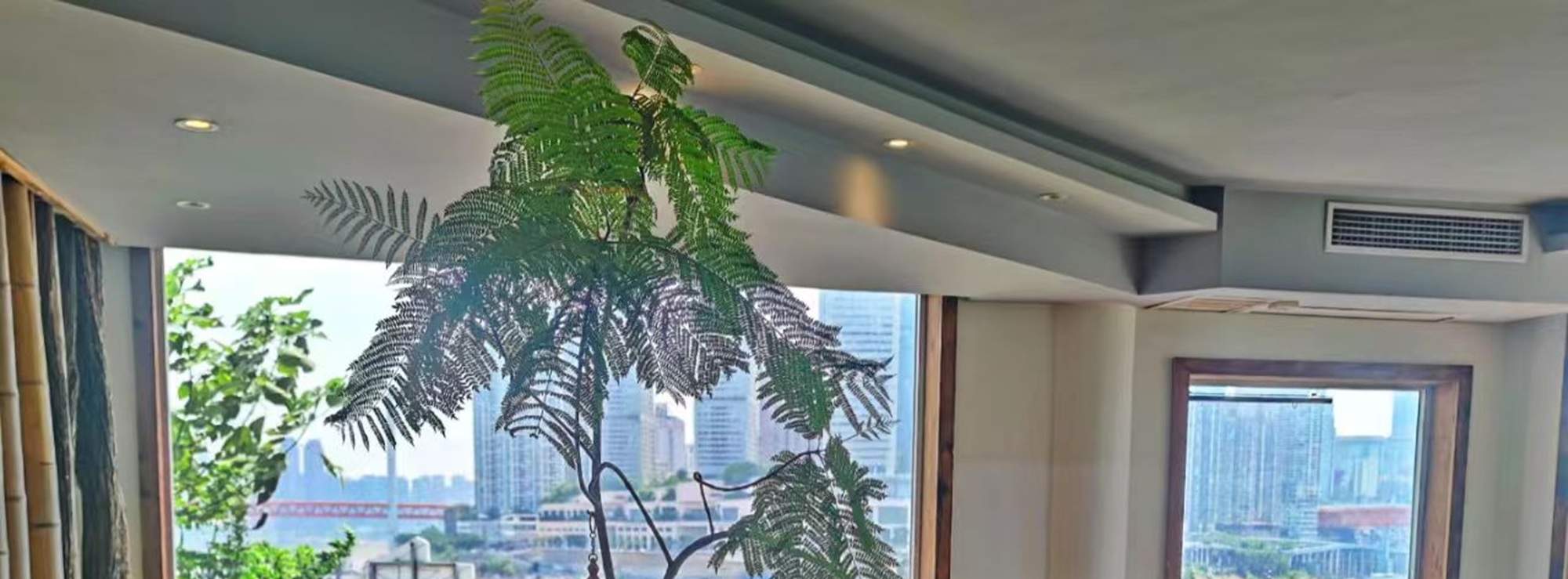 Chongqing Fulai Thé & Co