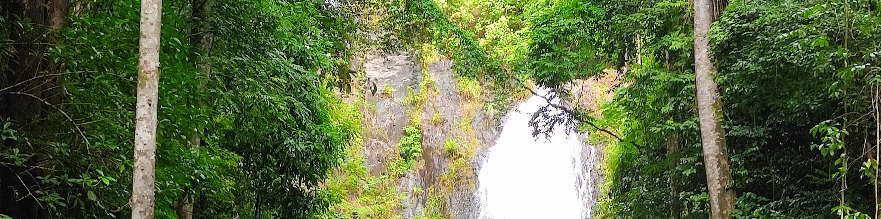 Krabi Elephant Care House with Huay Tho Waterfall