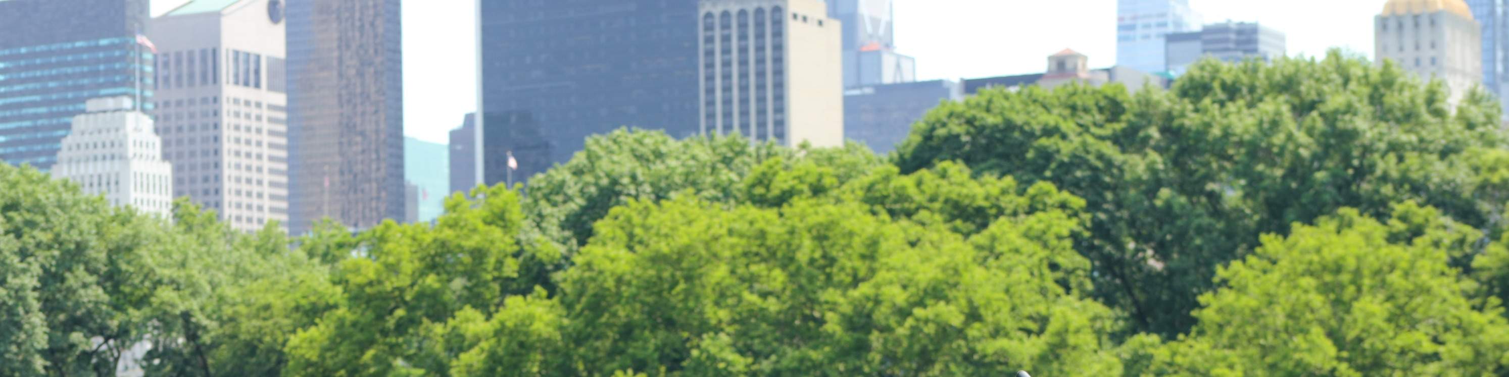 Rilassatevi sotto alberi ombrosi mentre i partecipanti si siedono insieme godendosi la tranquilla atmosfera del parco