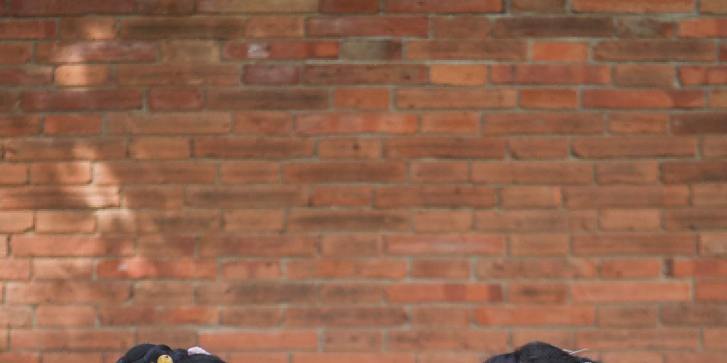 Tembok Tha Pae, gerbang yang wajib dikunjungi di Chiang Mai, datang dan nikmati bersama sahabat dan keluarga Anda