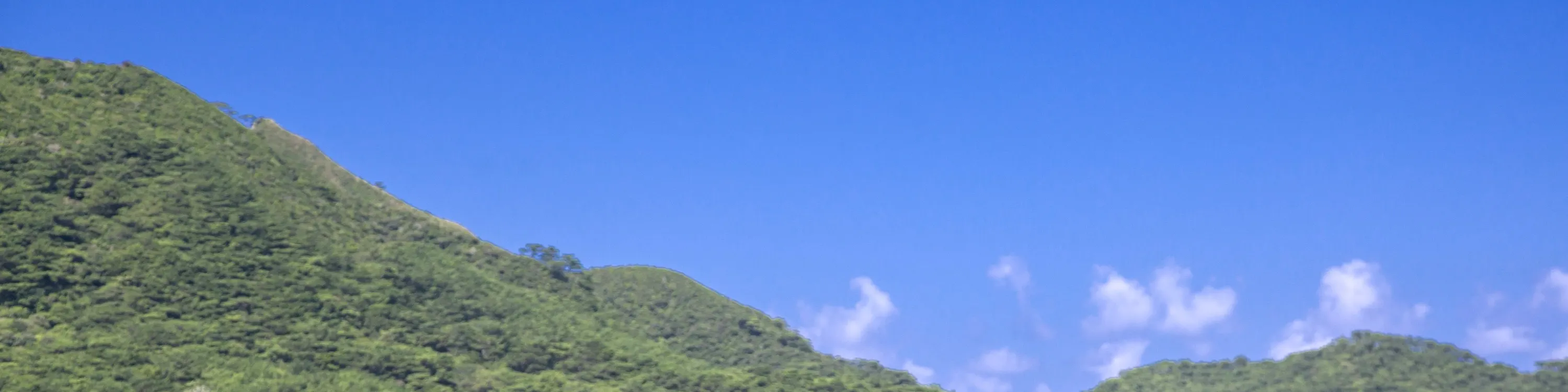 [石垣岛/半天] 濑川平湾 可选择SUP/独木舟（冲绳）