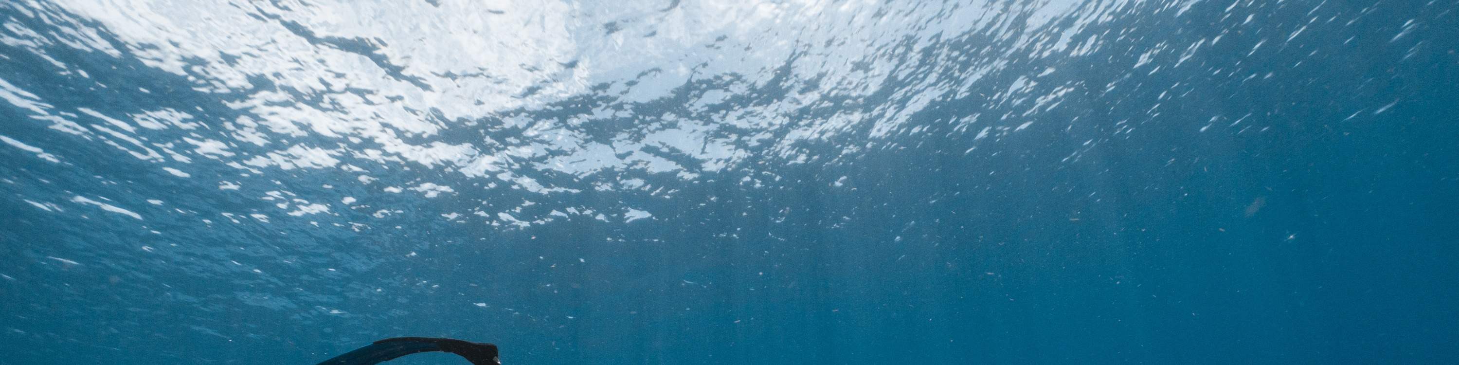 Đài Đông: Lặn tự do ở Đảo Xanh (Không cần bằng & kèm chụp ảnh dưới đáy biển)