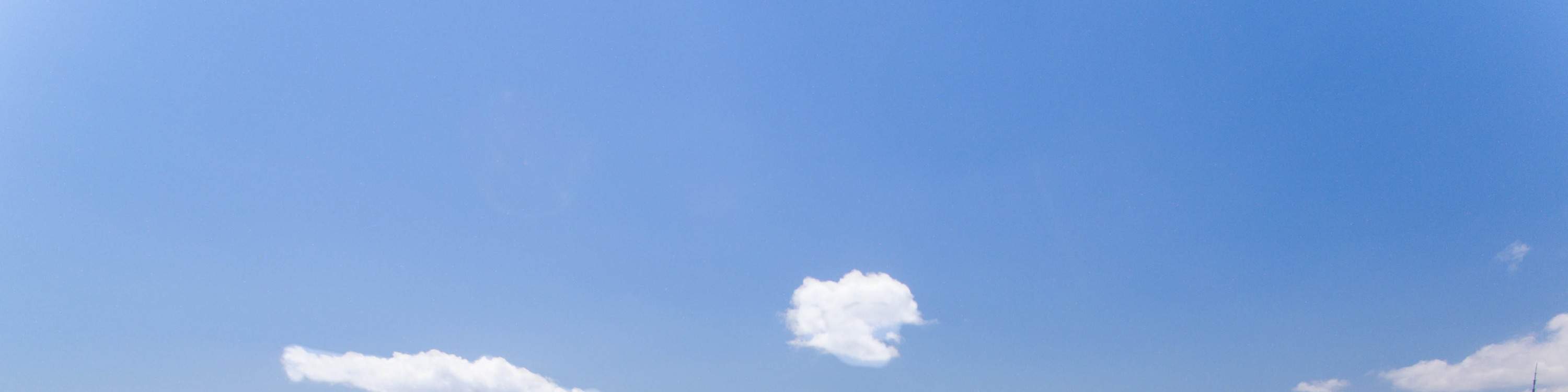 Crucero a vela por el puerto de Auckland