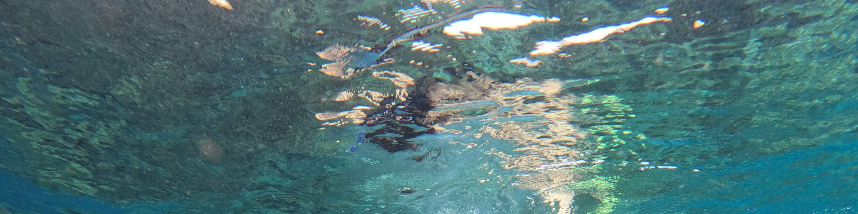 Tempat Snorkeling Lembongan Activity