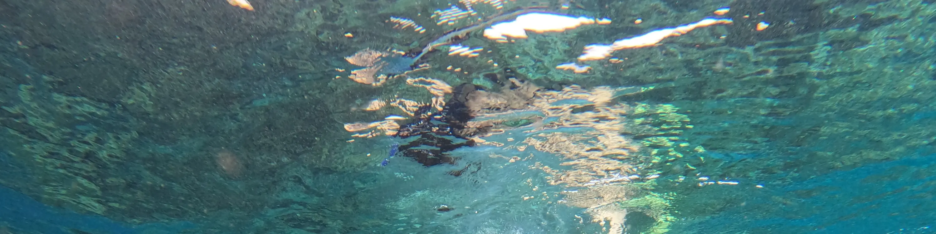 蓝梦岛活动浮潜点