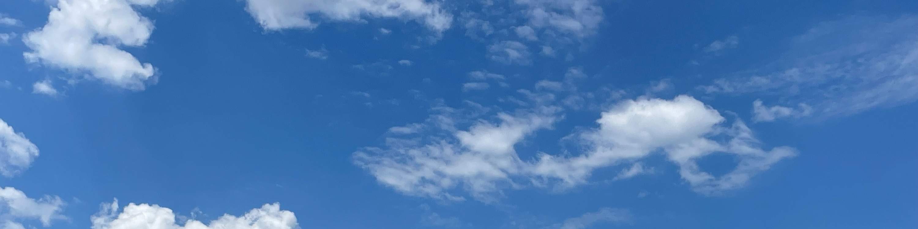 亞拉河谷酒莊之旅（含提子酒 & 琴酒 & 蘋果酒 & 奶酪）