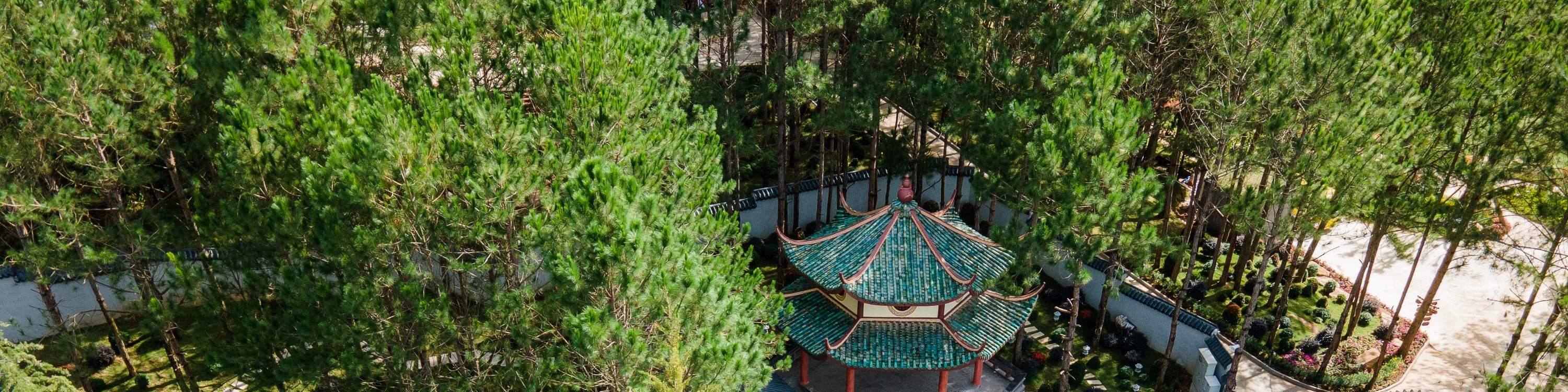 Monastero Zen di Thien Huong, dove puoi fuggire dal trambusto esterno