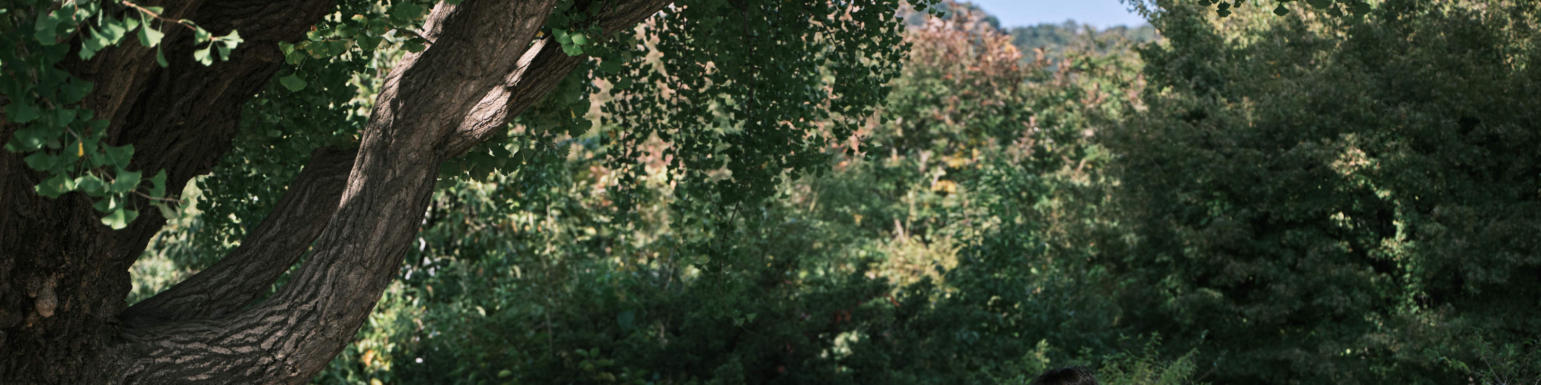 Kunjungilah istana tertua Korea di Seoul, kawasan yang merangkumi masa lalu dan masa kini Korea