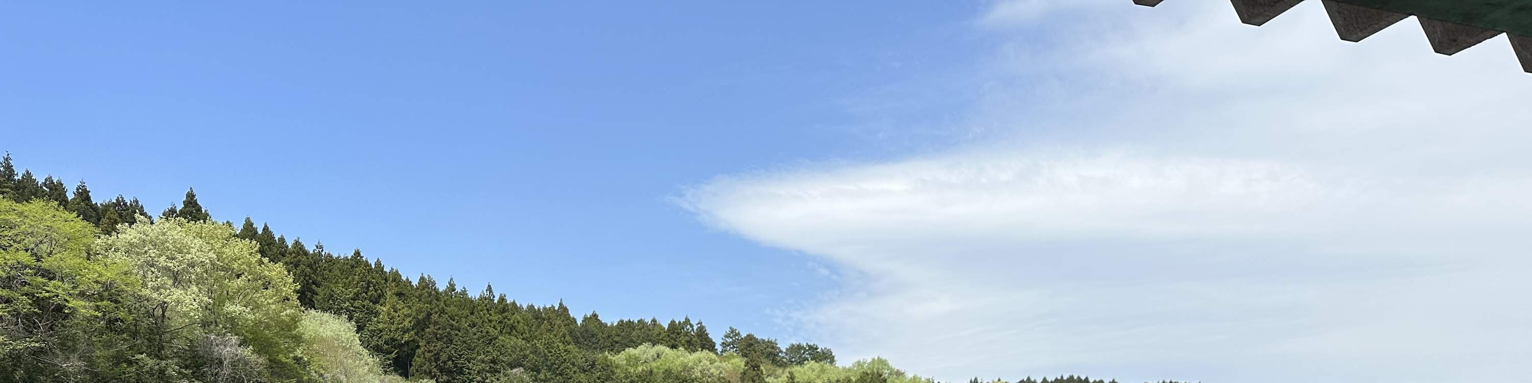 Tour riêng trải nghiệm lái xe JDM Drift Tokyo Drift Daikoku