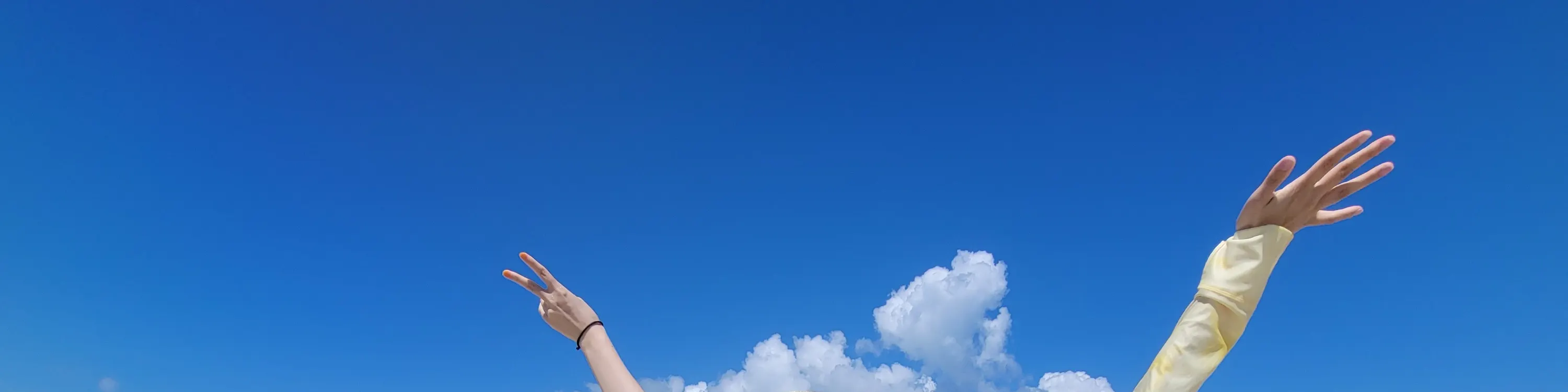 半天奇妙岛屿登陆和浮潜体验（免费租用 GoPro）（石垣岛）