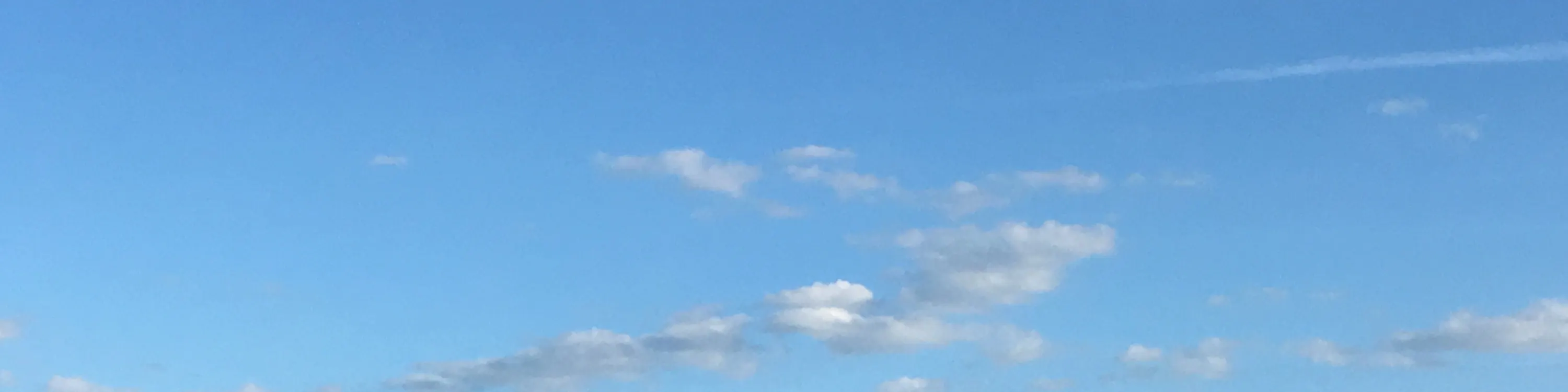 从顶楼可以看到相模湾