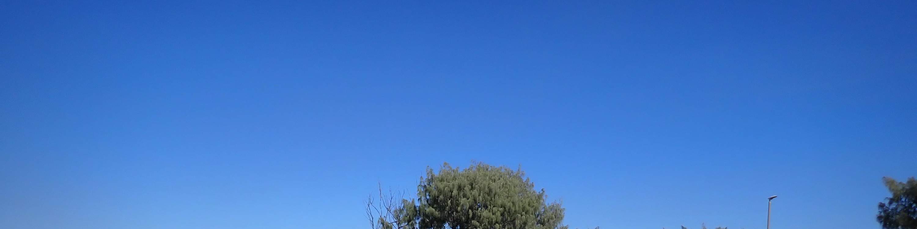 Pengajar luncur air untuk pemula