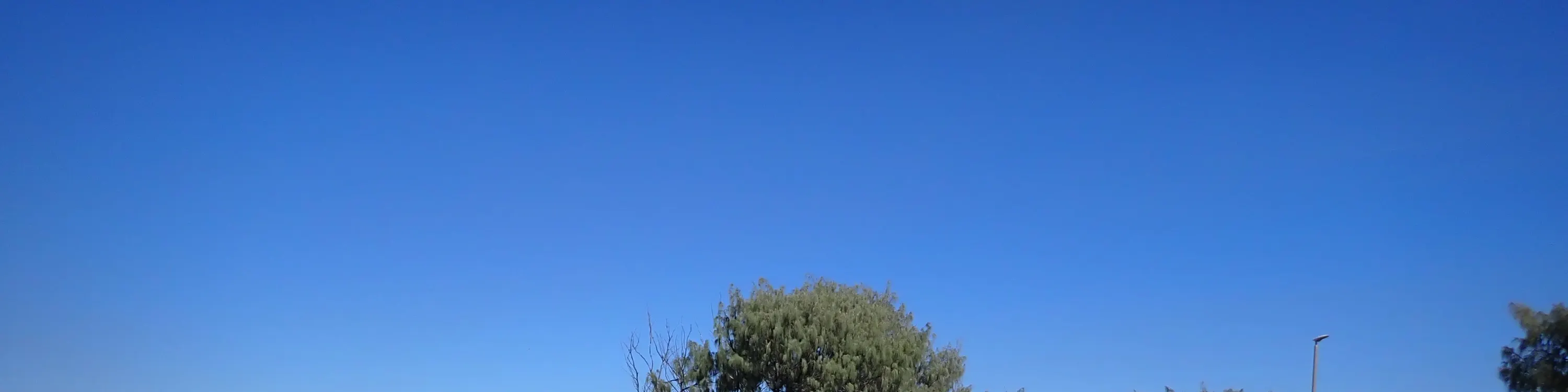 初级冲浪教练