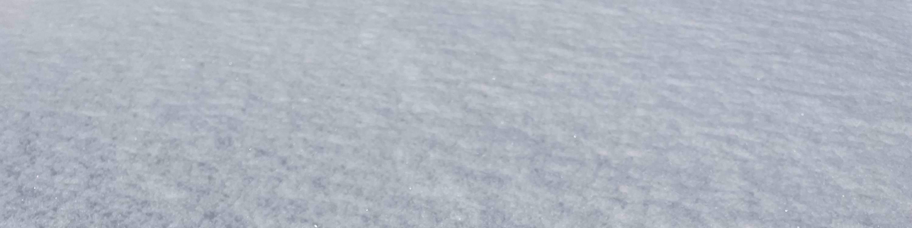 ประสบการณ์เก็บและเปรียบเทียบรสชาติสตรอว์เบอร์รีในฤดูหนาว (บริเวณใกล้เคียงซัปโปโร)