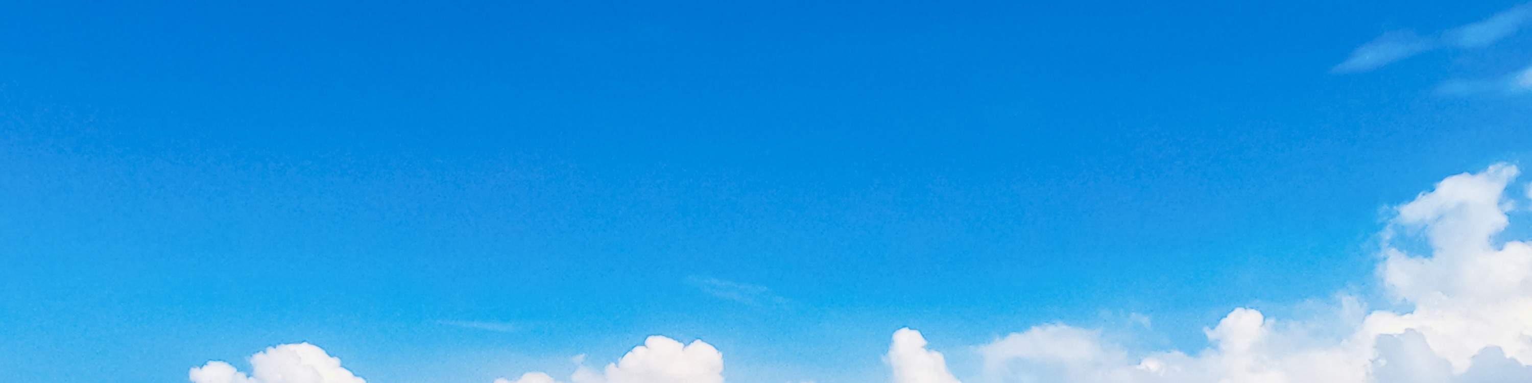 Остров Черепах, Лодка со Стеклянным Дном, Круиз по Мангровым зарослям от JTB Indonesia