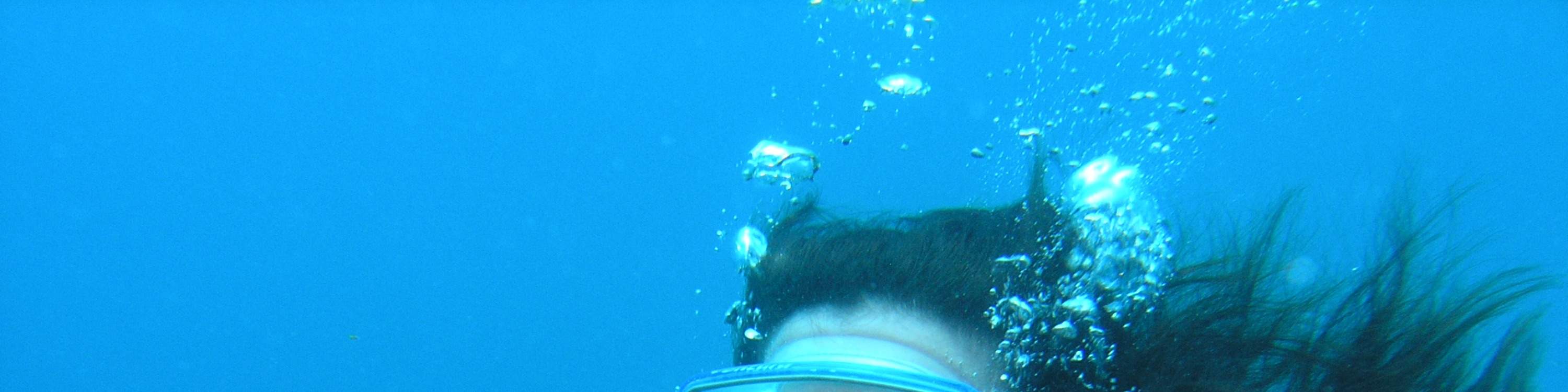 阿拉尼亞水肺潛水之旅（含午餐）