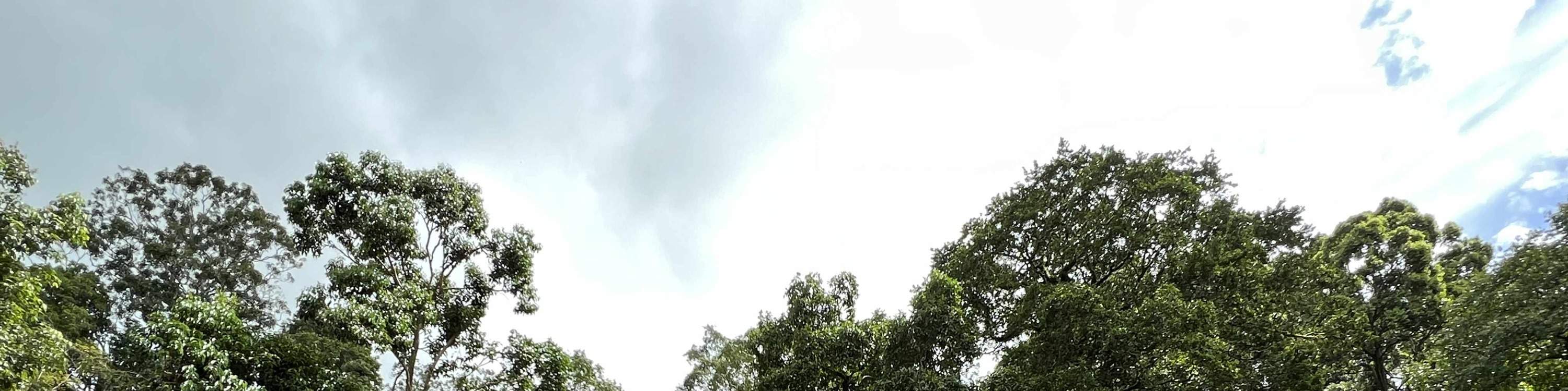 Vé vào cửa Zoo Teruntum