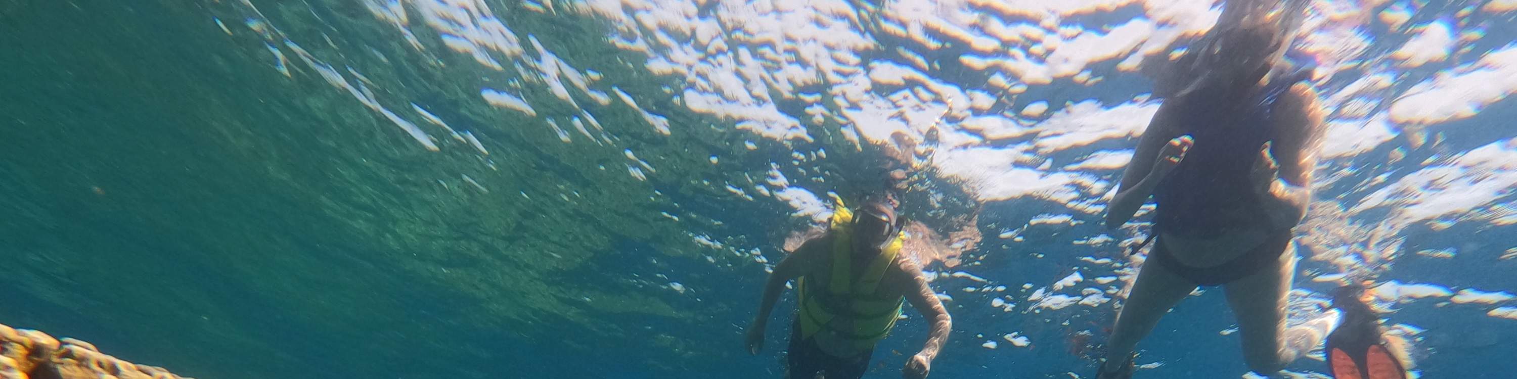 Частный опыт сноркелинга или фридайвинга на Гуаме