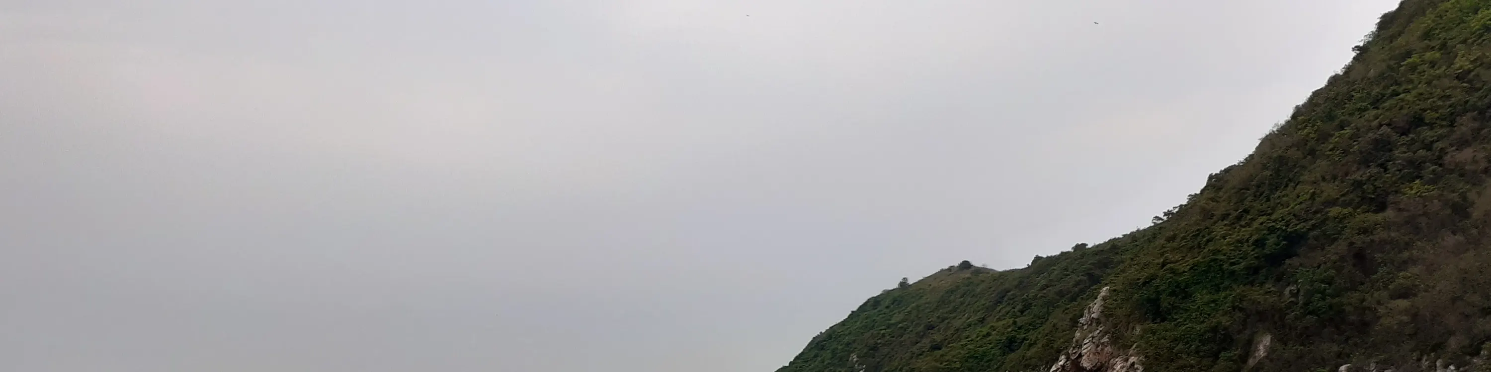 大澳观光小艇游船票