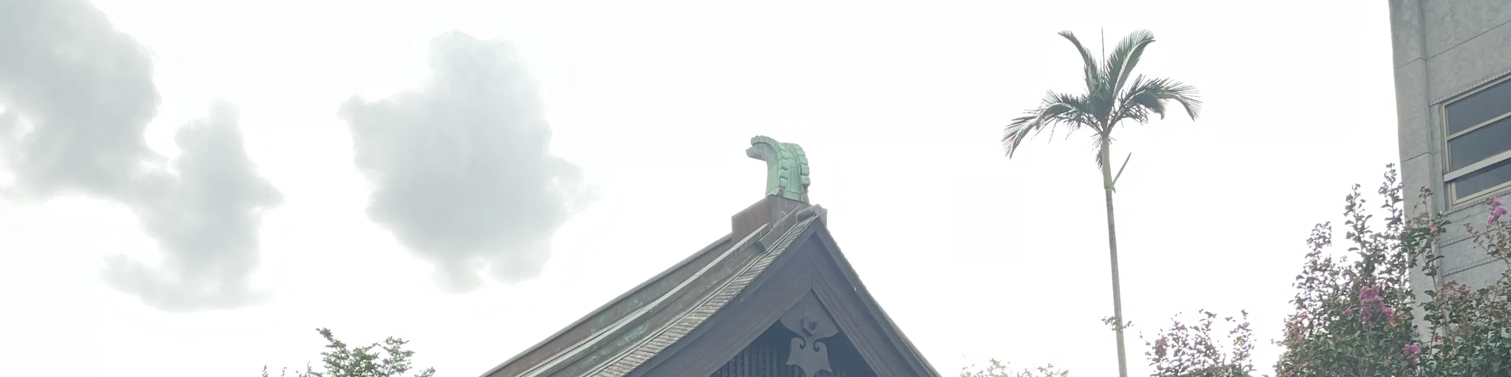 桃园包车一日接送