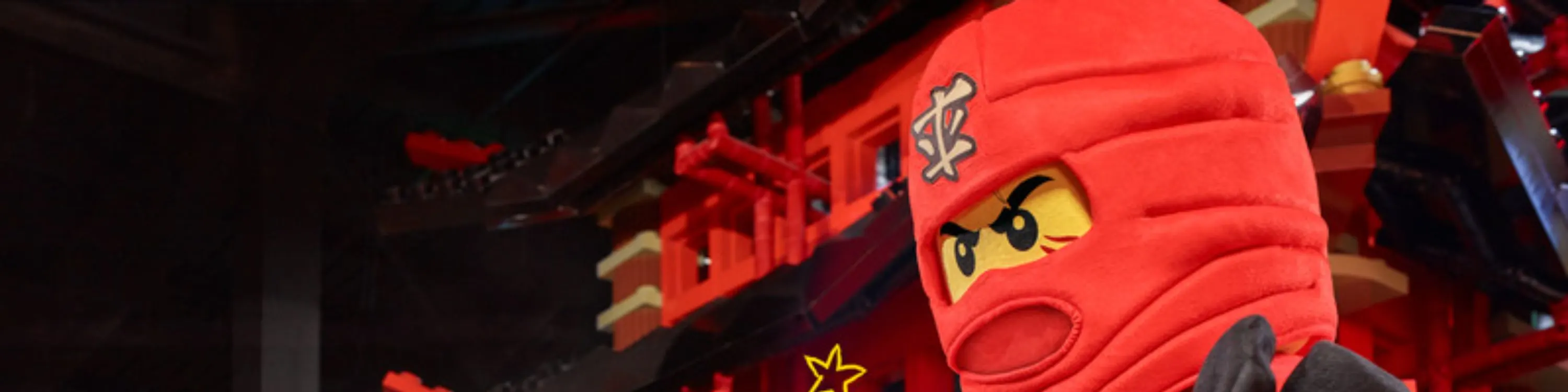 在互动式 LEGO NINJAGO® Adventure 游乐区像忍者一样训练