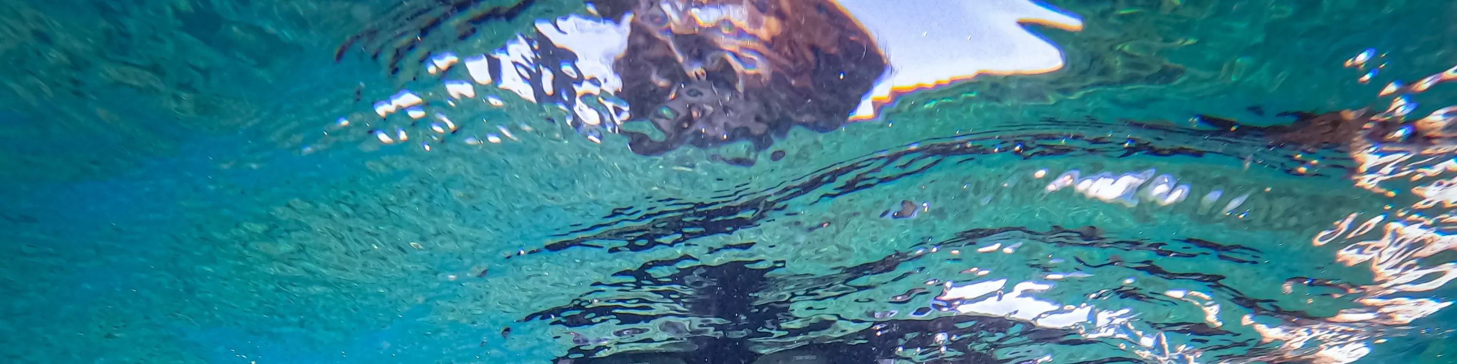 浮潜