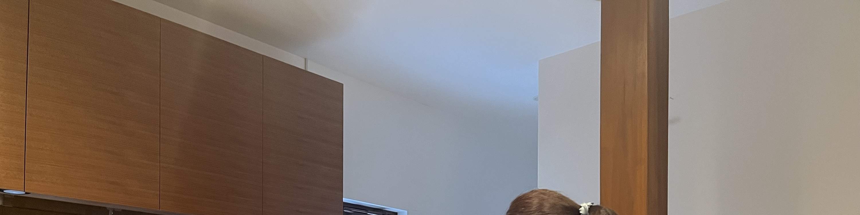 Kumamoto: Nghệ thuật Bonseki Hosokawa & Vườn Suizenji Jojuen