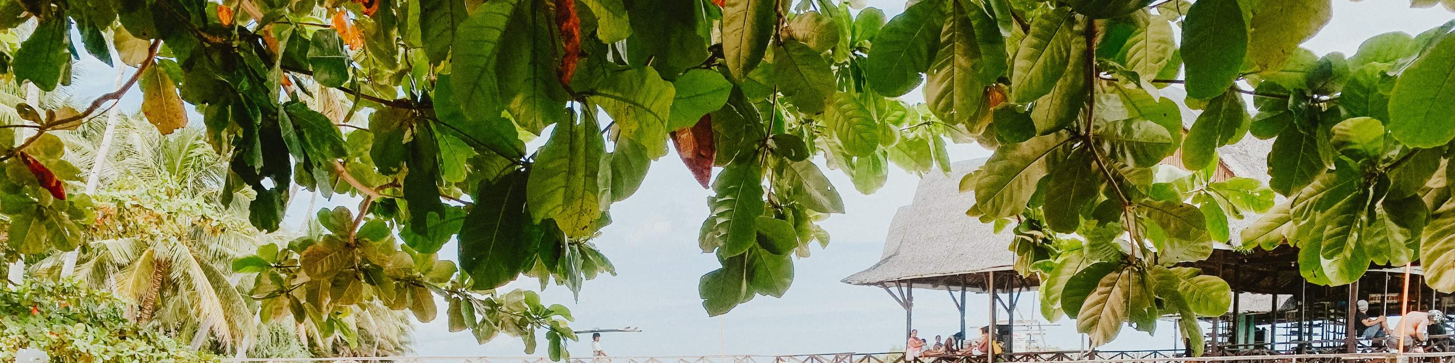 mọi người học lướt sóng