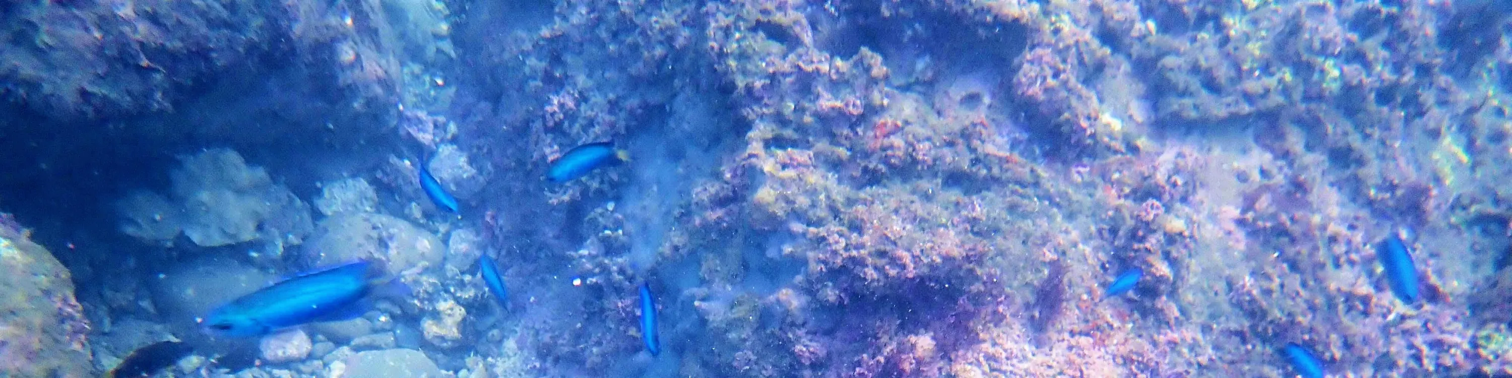贝壳岛独木舟