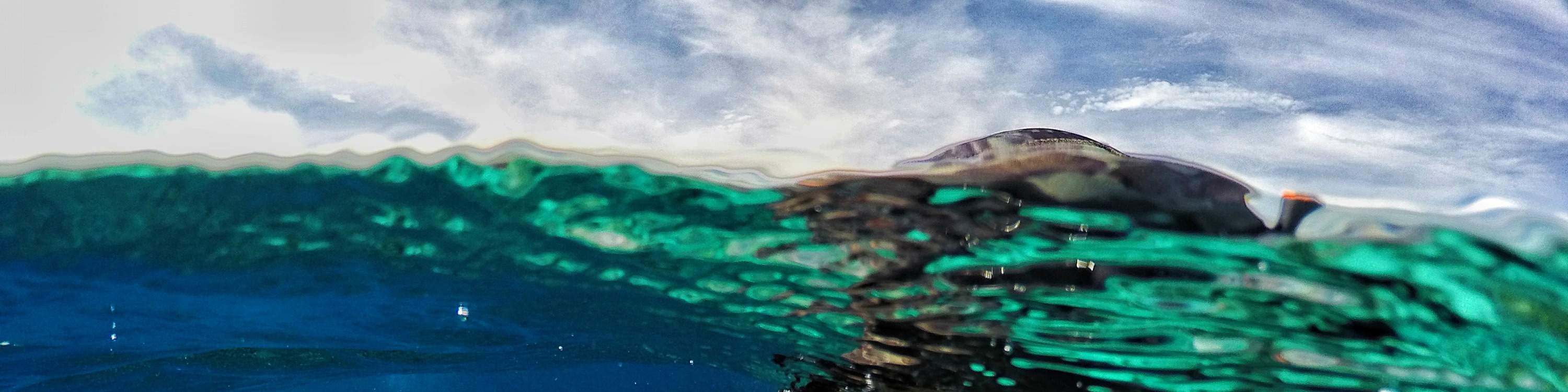 Balade d'île en île à Manukan et Sapi avec expérience de massage