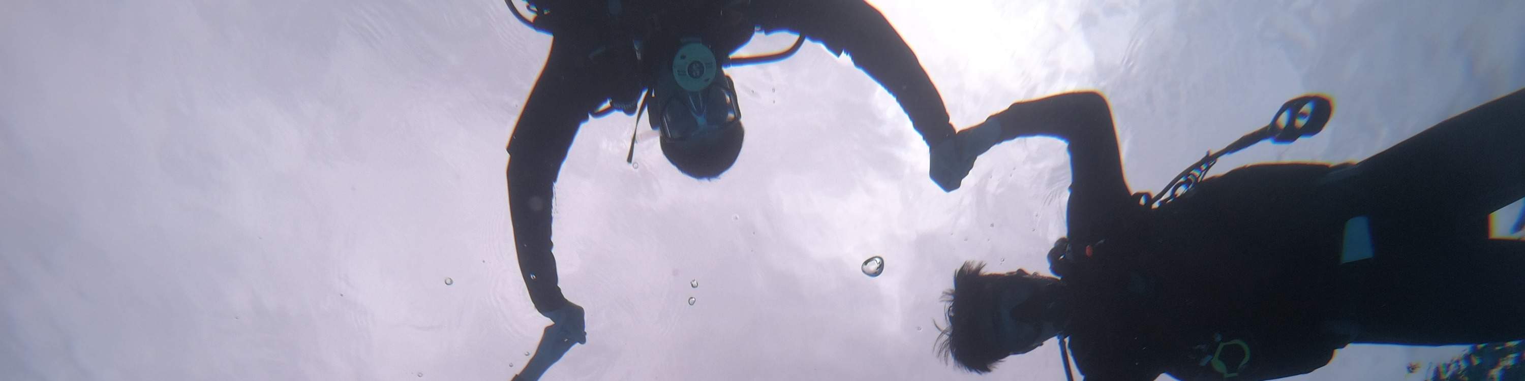 Immersioni subacquee a Pattaya con Manta Marina