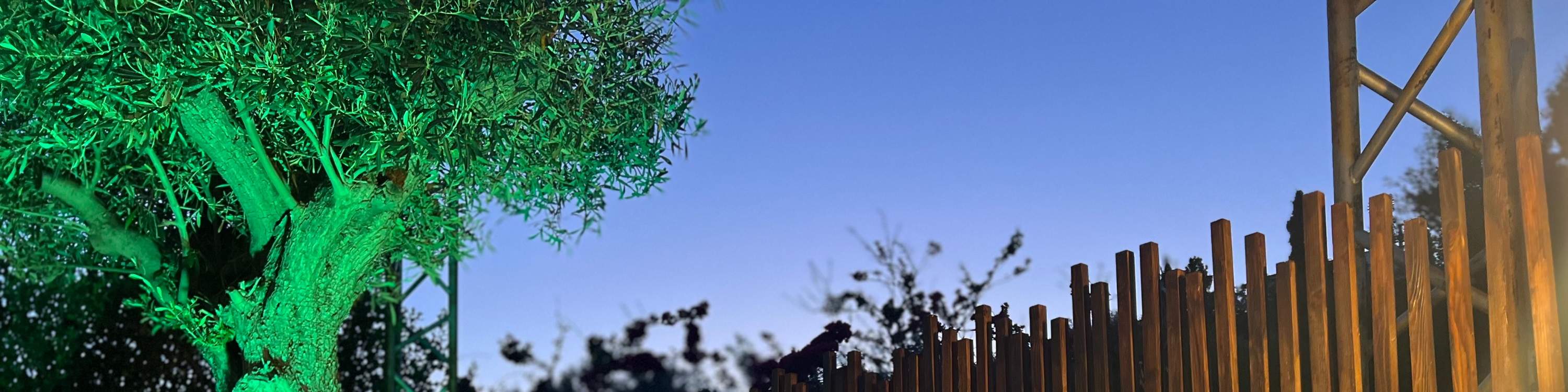 Athens , Hy Lạp : Xưởng làm dép da thủ công