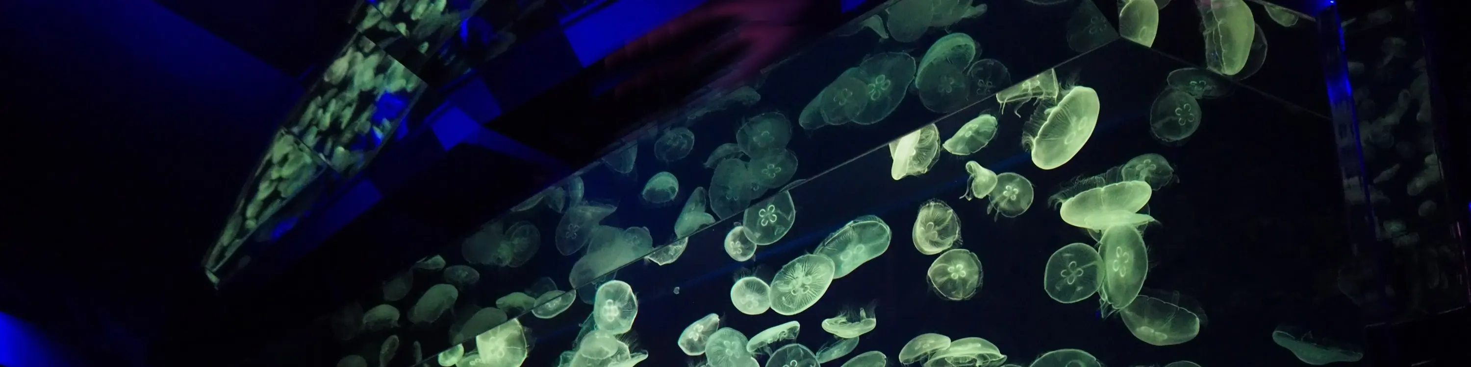名古屋港水族馆