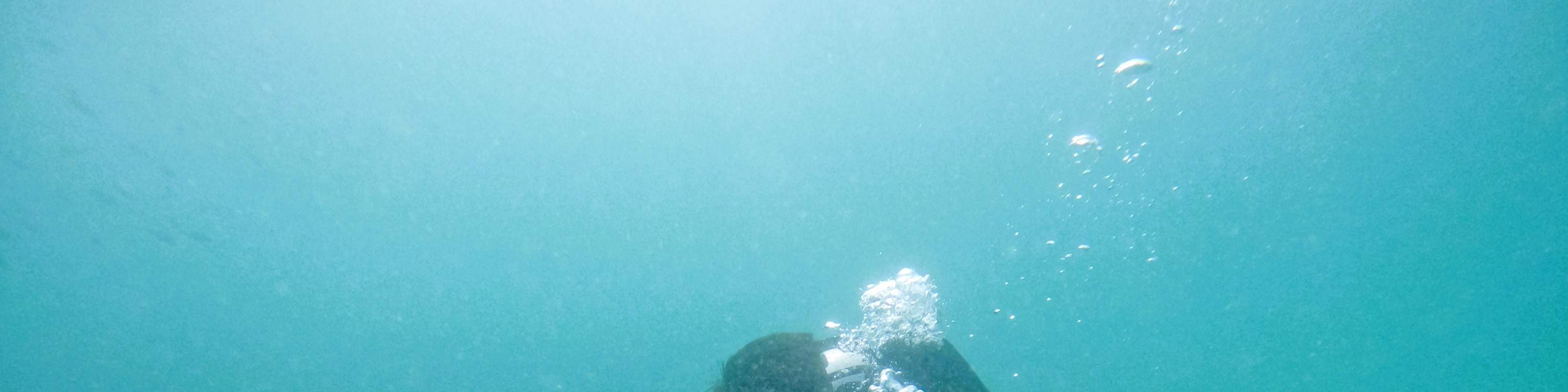 Từ Dubai: Lặn biển & Snorkeling kèm bữa trưa BBQ