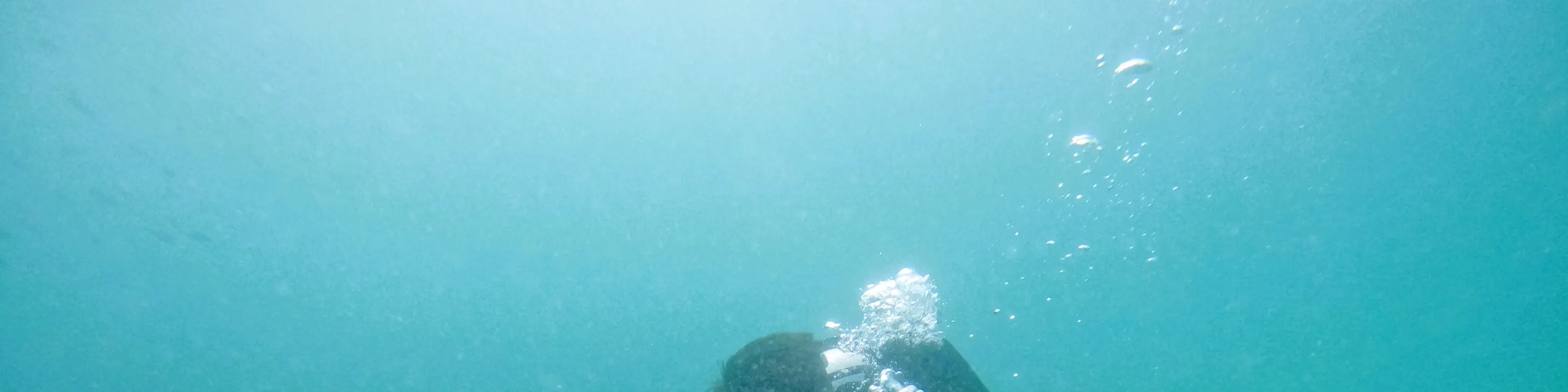 从迪拜出发：水肺潜水和浮潜，含烧烤午餐