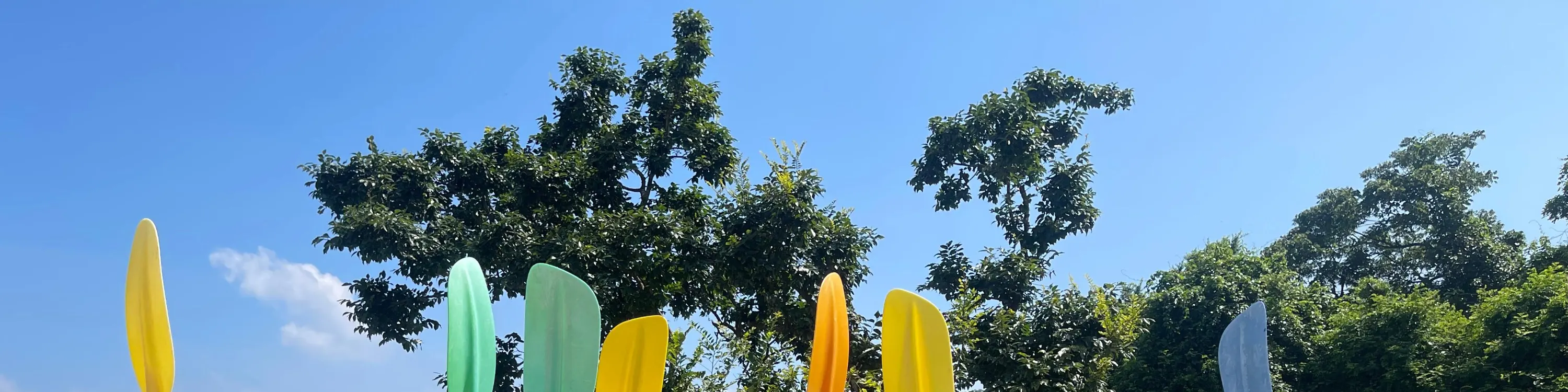 西贡绿蛋岛浮潜独木舟体验一日团