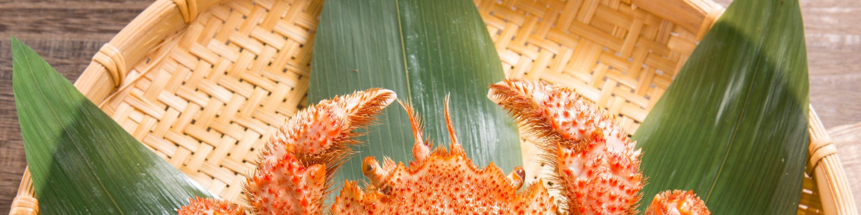 ร้าน Kanisushi Kato ซัปโปโร｜อาหารประเภทปู - ฮอกไกโด