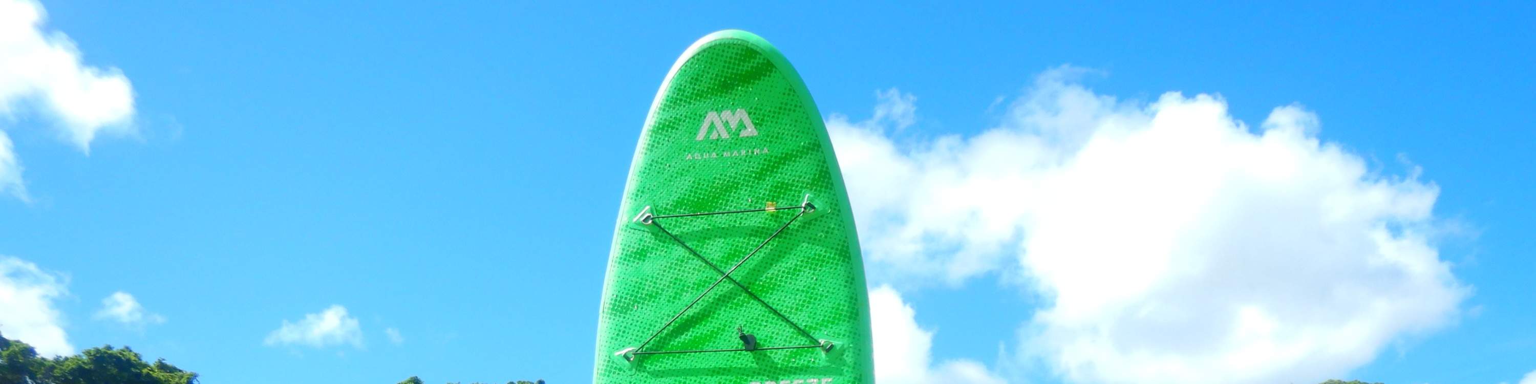 Chèo SUP Ngắm Rừng Ngập Mặn Tại Sông Hijya