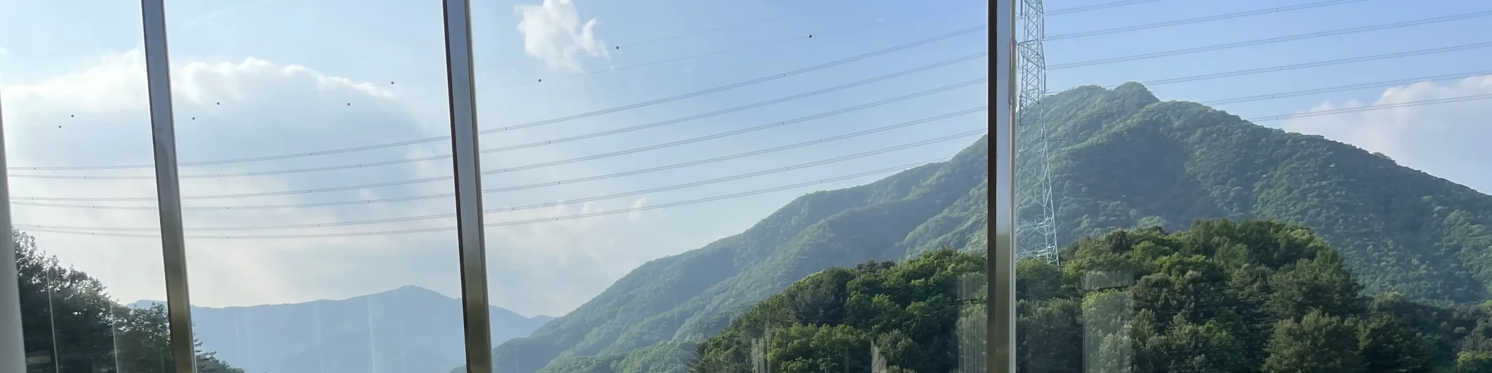 绵羊牧场 Tikcet（羊驼、绵羊、兔子） 京畿道加平