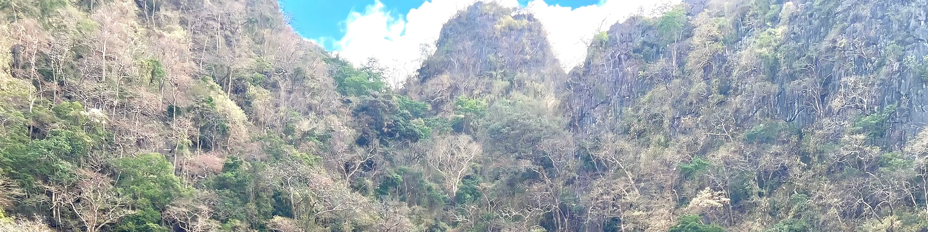 科隆岛旅游A