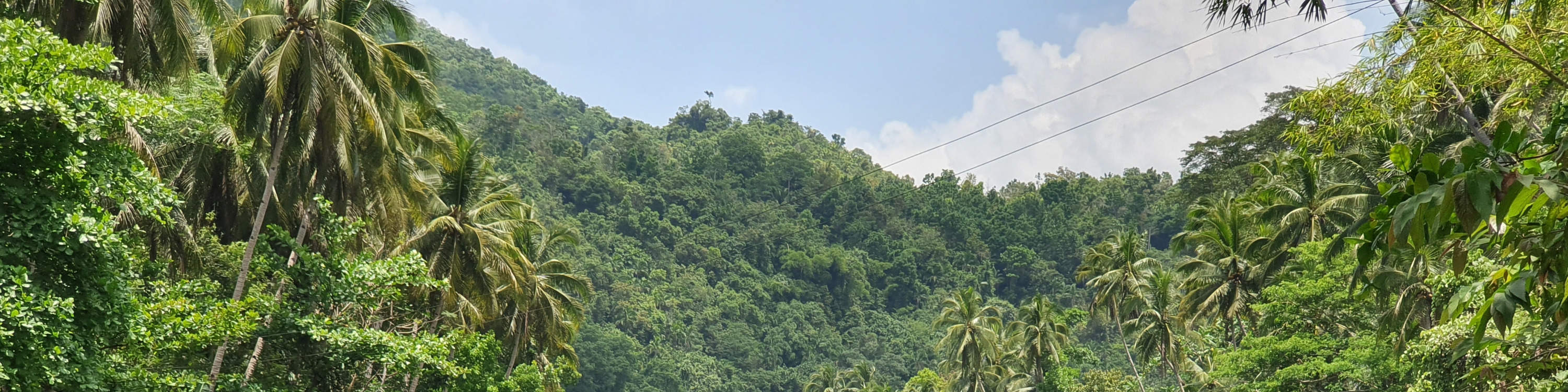 ロボック川 スタンドアップパドルアドベンチャー（ボホール）