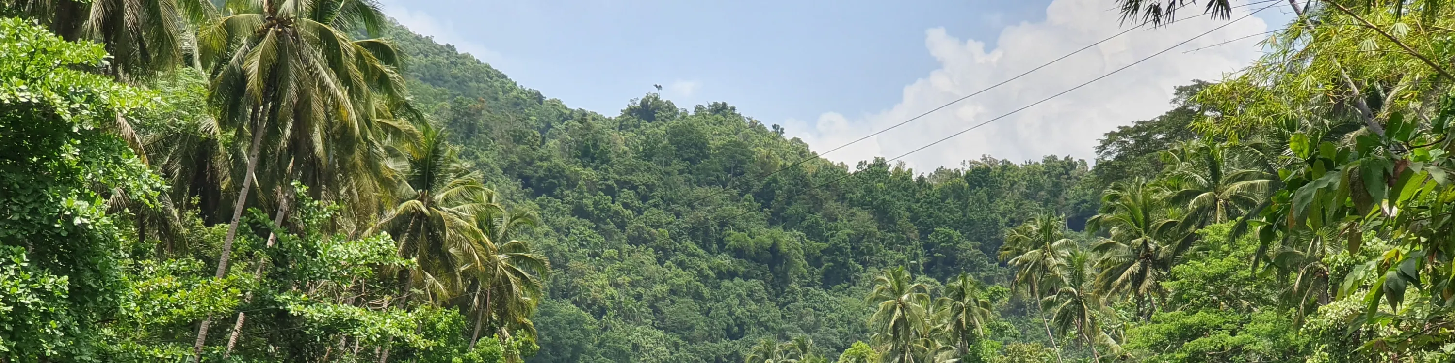 薄荷岛洛博克河立桨探险