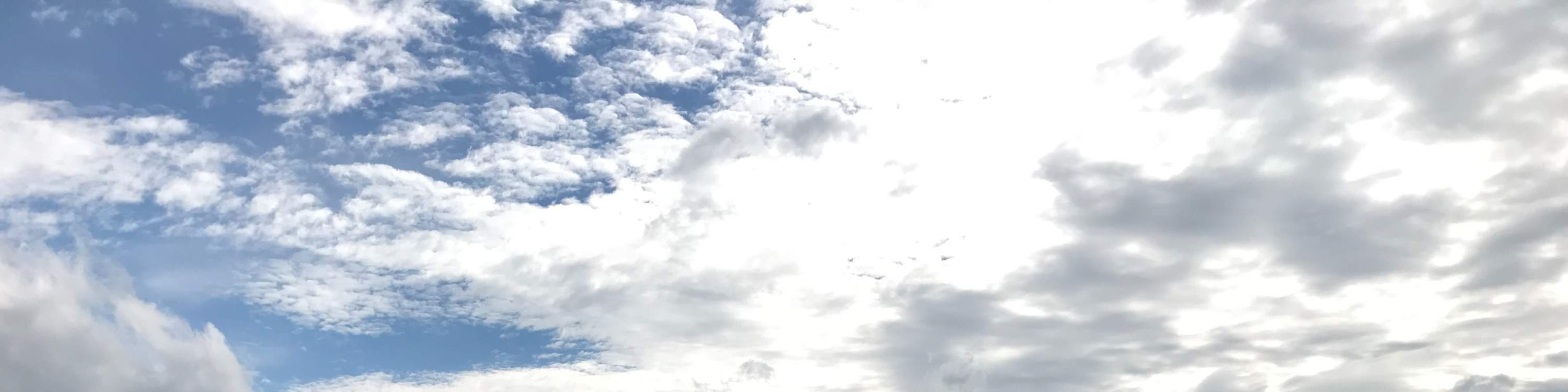 包車遊覽｜新北景點一日遊：石碇＆千島湖＆深坑＆坪林茶葉博物館