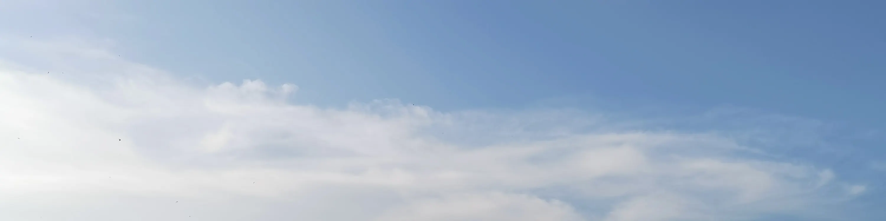 这座独特的球场与曼谷其他高尔夫球场截然不同。