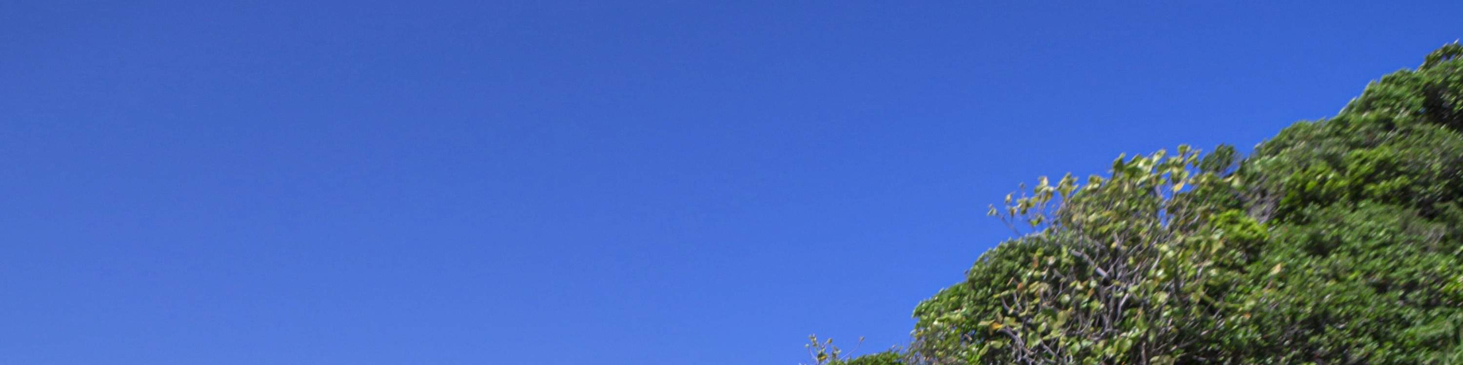 石垣島/1日 川平灣SUP/皮划艇&藍洞浮潛體驗（沖繩）