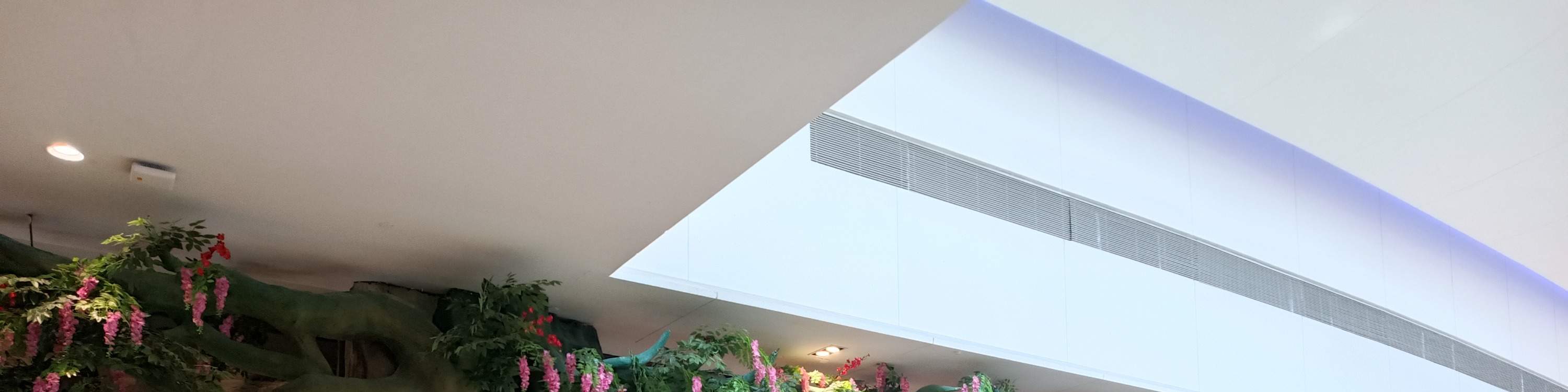 Atelier de spéléologie (Magasin Happy Coast)