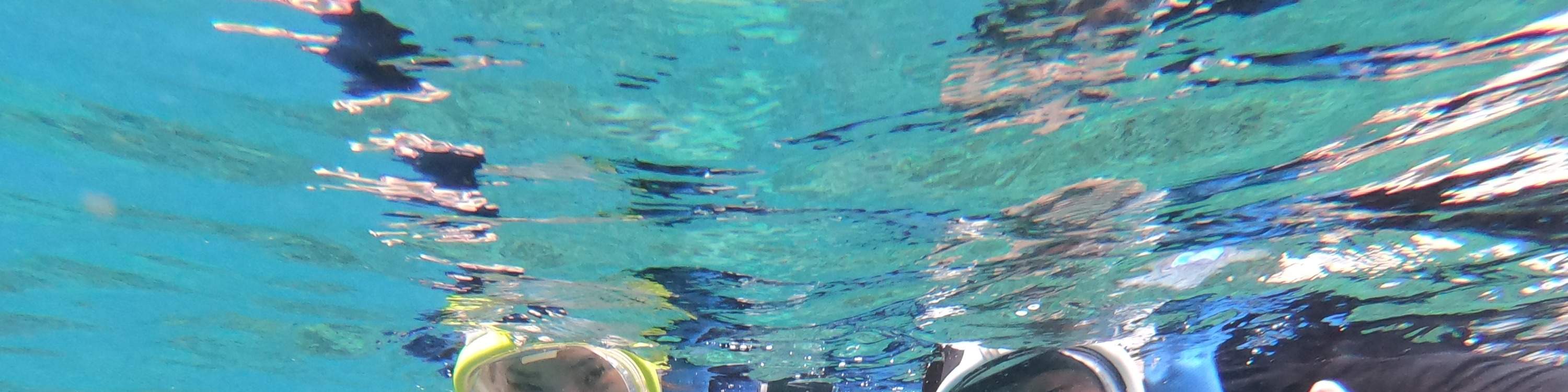 Tempat Snorkeling Lembongan Activity