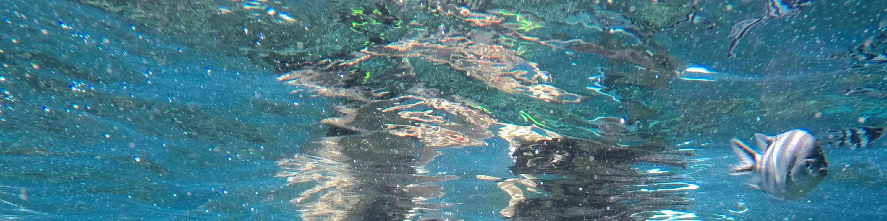 蓝梦岛活动浮潜点