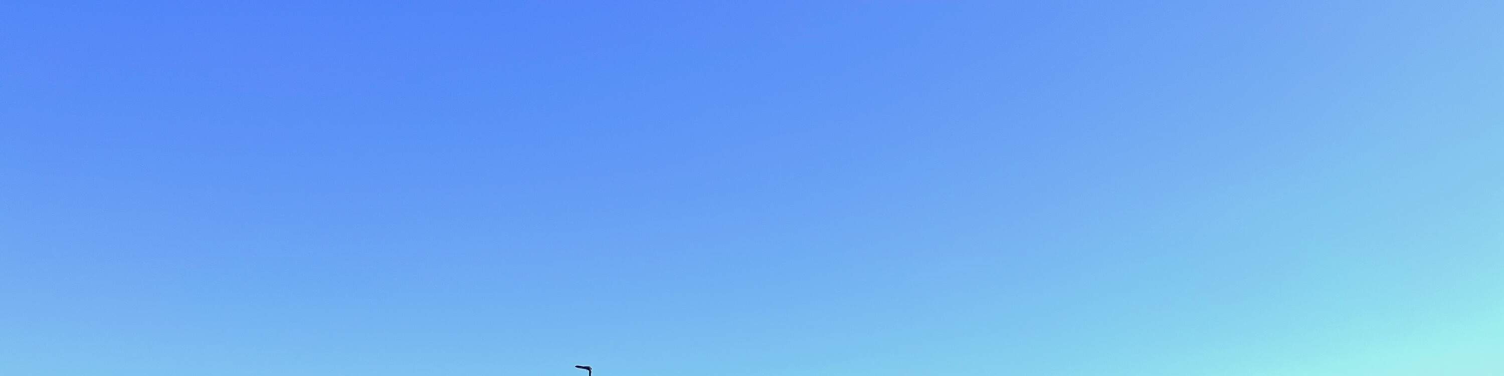 Pengalaman Sewa Sepeda Sehari Penuh di Munakata, Fukuoka